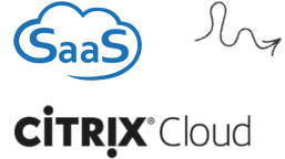 citrix img 10