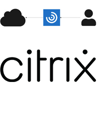 citrix img 4